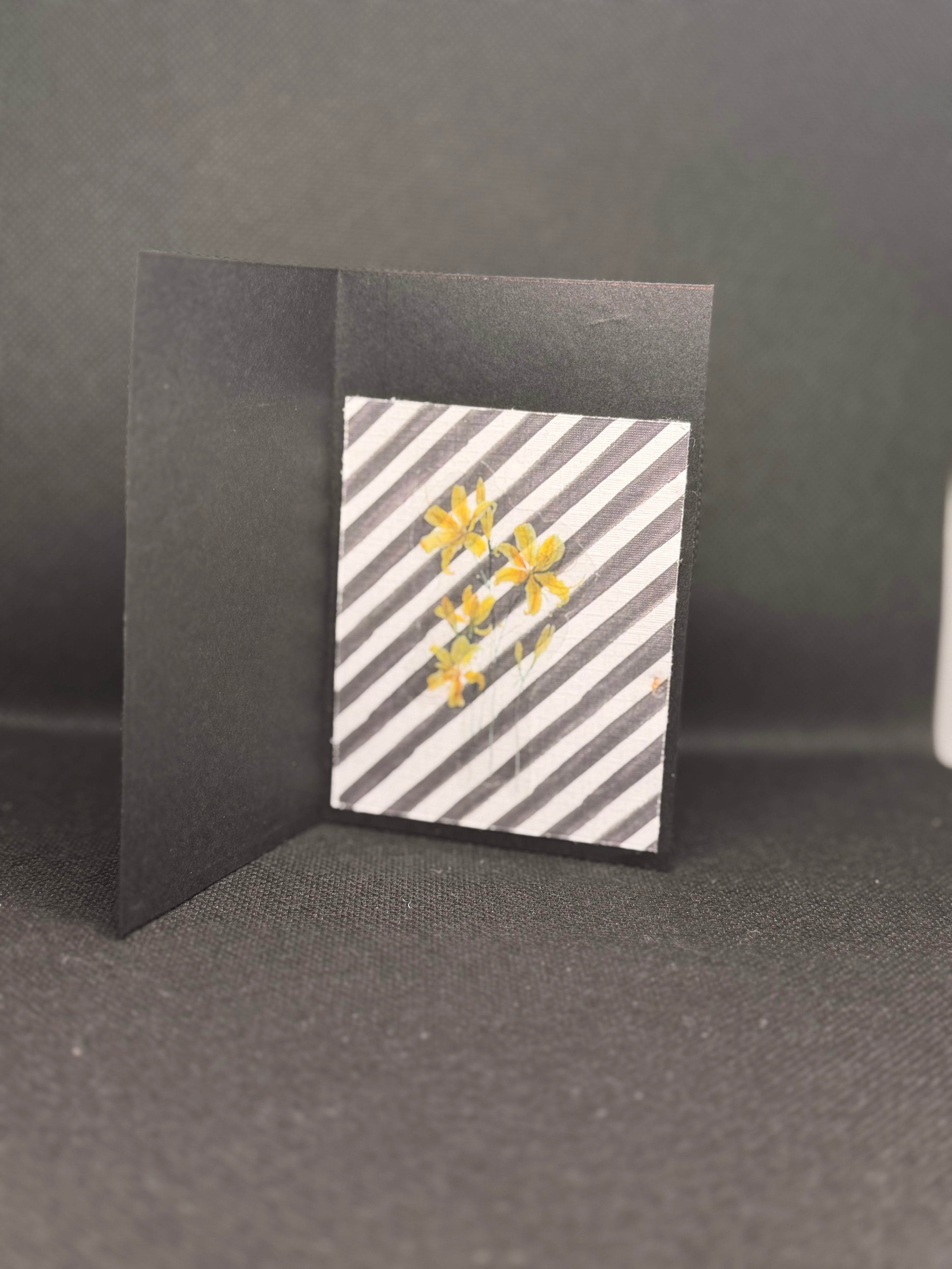 Gift Card/cash holder