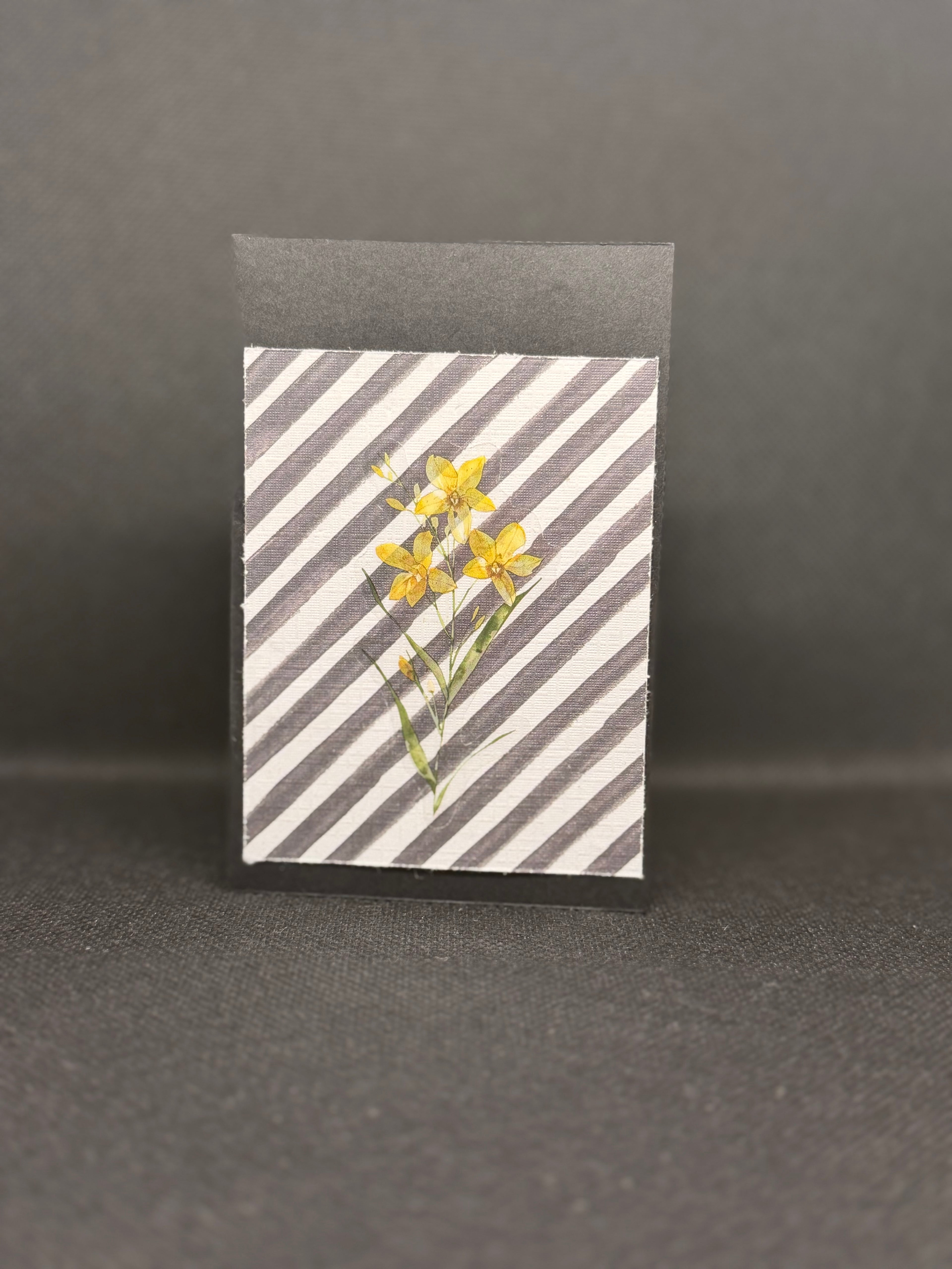 Gift Card/cash holder