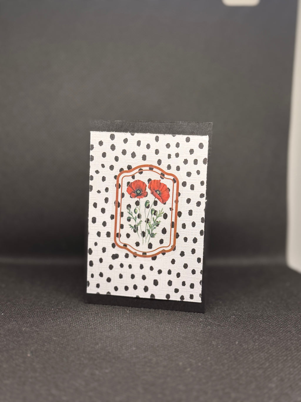 Gift Card/cash holder