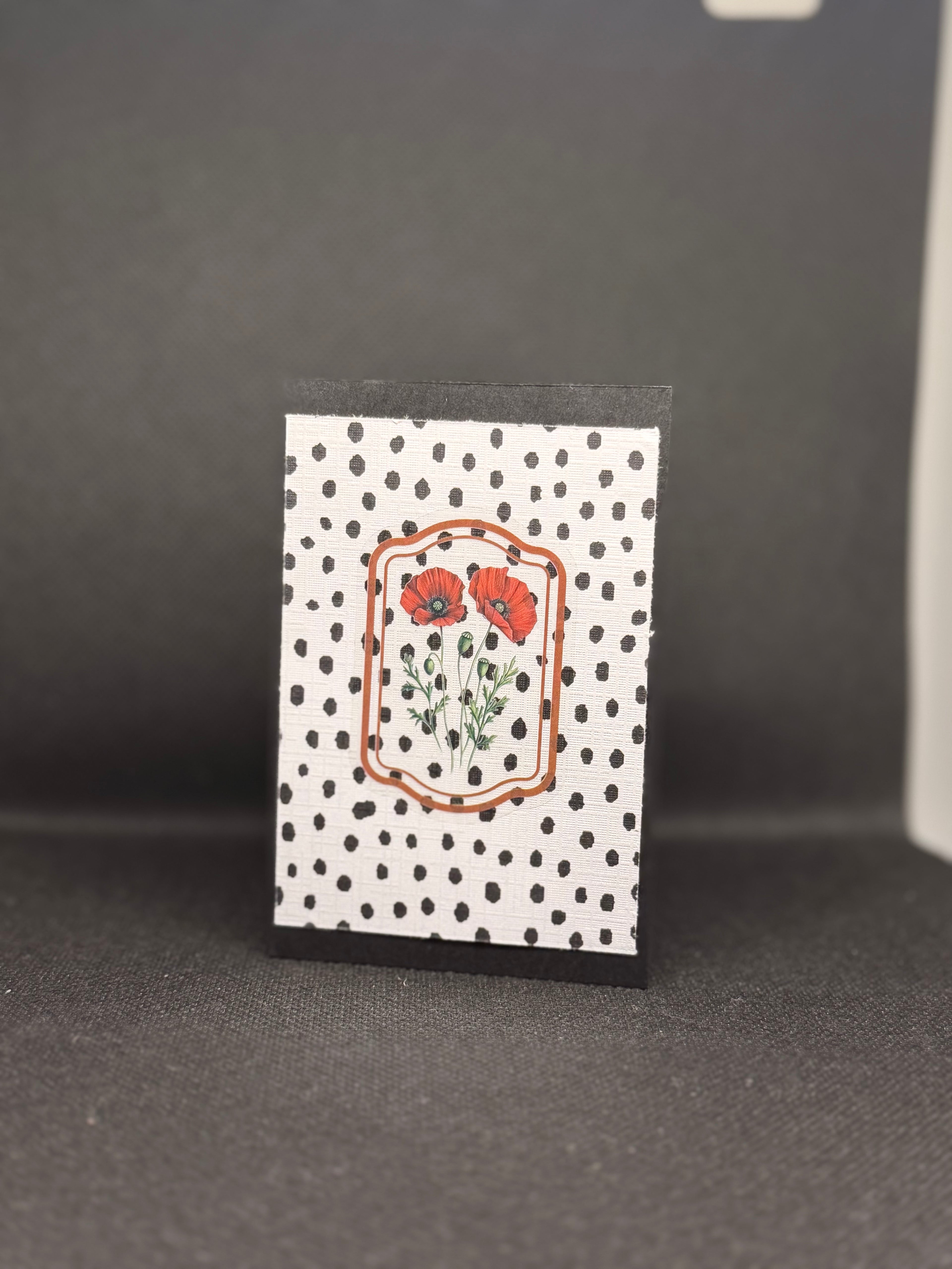 Gift Card/cash holder